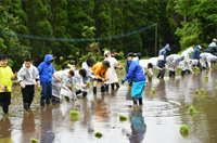 阿蘇水掛の棚田ボランティア