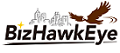 BizHawkEye