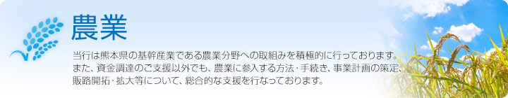 農業 当行は熊本県の基幹産業である農業分野への取組みを積極的に行っております。また、資金調達のご支援以外でも、農業に参入する方法・手続き、事業計画の策定、販路開拓・拡大等について、総合的な支援を行なっております。