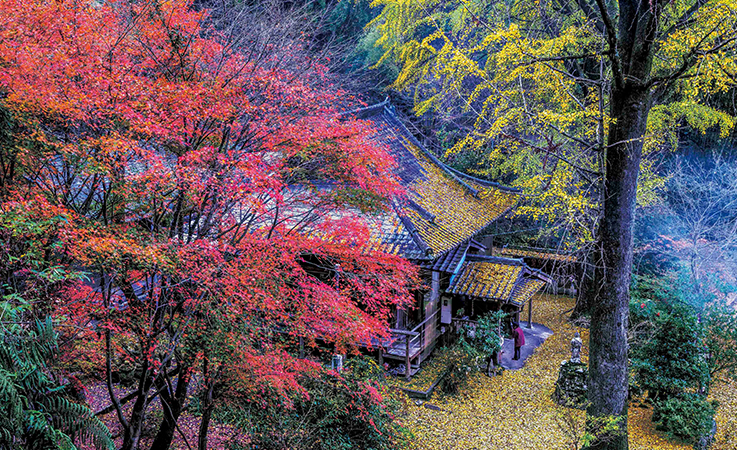 康平寺（山鹿市鹿央町）