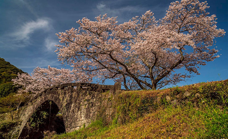 大窪橋