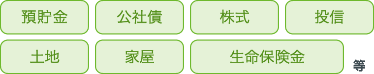 預貯金、公社債、株式、投信、土地、家屋、生命保険等