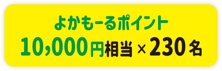 「よかもーる」ポイント10,000円相当×230名