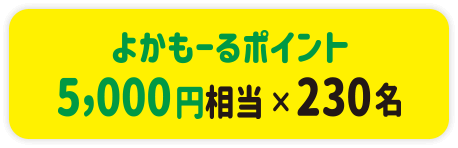 「よかもーる」ポイント5,000円相当×230名