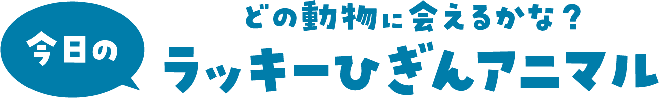 どの動物に会えるかな？ 今日のラッキーひぎんアニマル