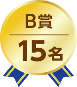 B賞15名
