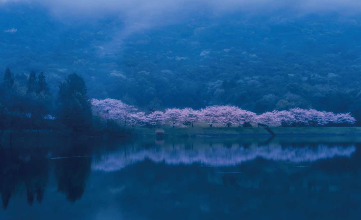 蒲生の池