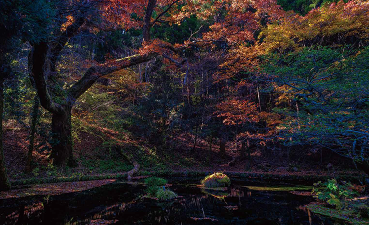 山吹水源