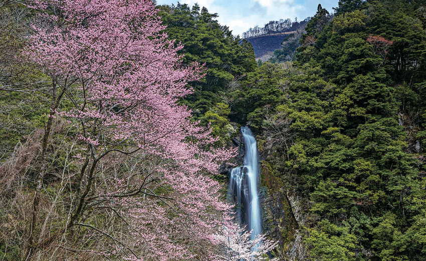 せんだん轟の滝（八代市泉町）